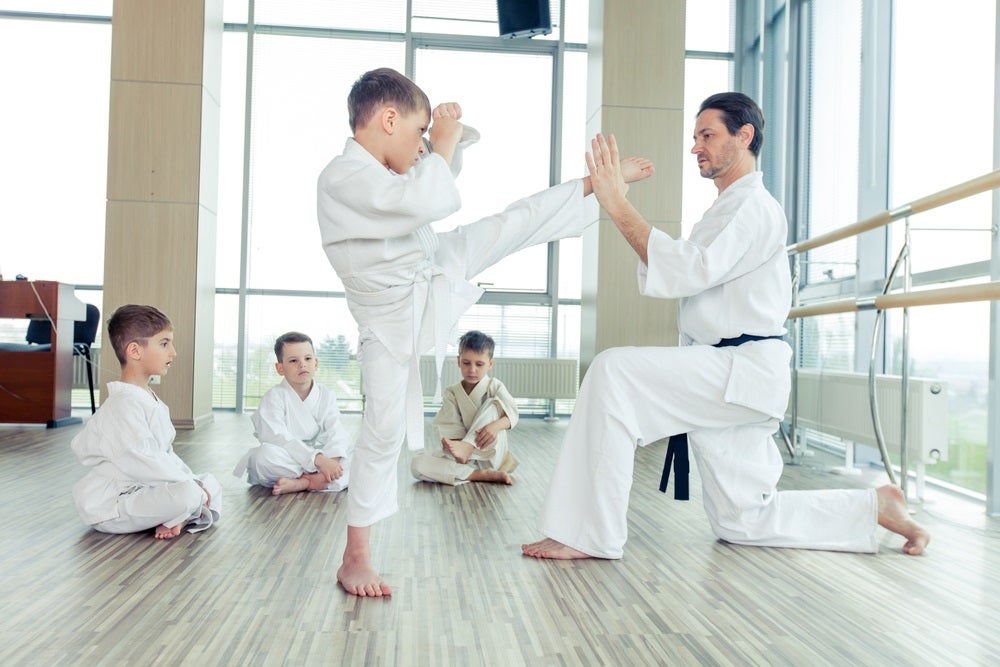 Martial Arts Lessons near Novi, MI