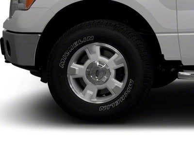 2010 Ford F-150 STX