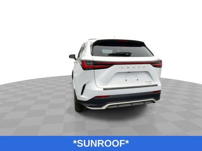 2023 Lexus NX 350 Handling F SPORT