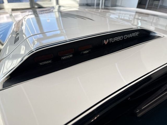 1981 Pontiac Firebird Trans Am PACE CAR