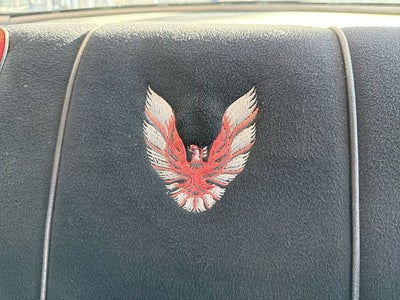 1981 Pontiac Firebird Trans Am PACE CAR