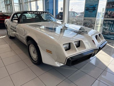 1981 Pontiac Firebird Trans Am PACE CAR
