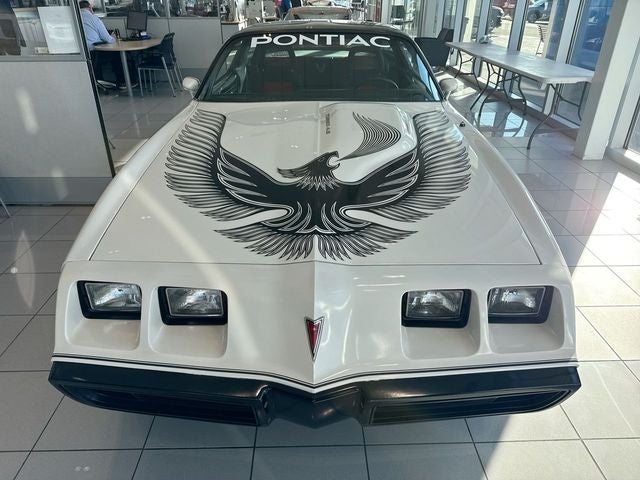 1981 Pontiac Firebird Trans Am PACE CAR