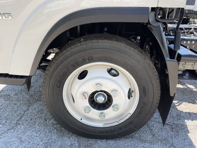 2024 Chevrolet Low Cab Forward 4500 2WD Reg Cab 150