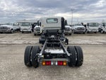 2024 Chevrolet Low Cab Forward 5500 HD 2WD Reg Cab 150