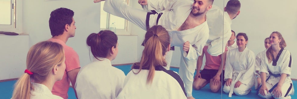 Martial Arts Class near Novi, MI